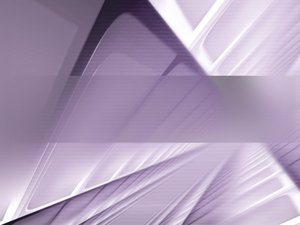 内控体系行业白皮书：数据与洞察